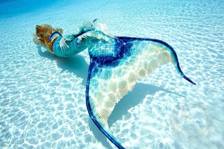 How To Meet A Mermaid