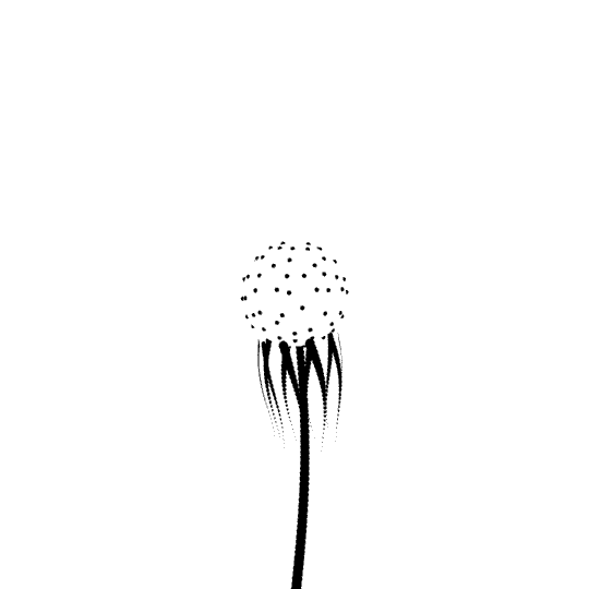 ciccle21Black.png